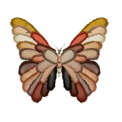 essence Lidschatten><noscript><img width=