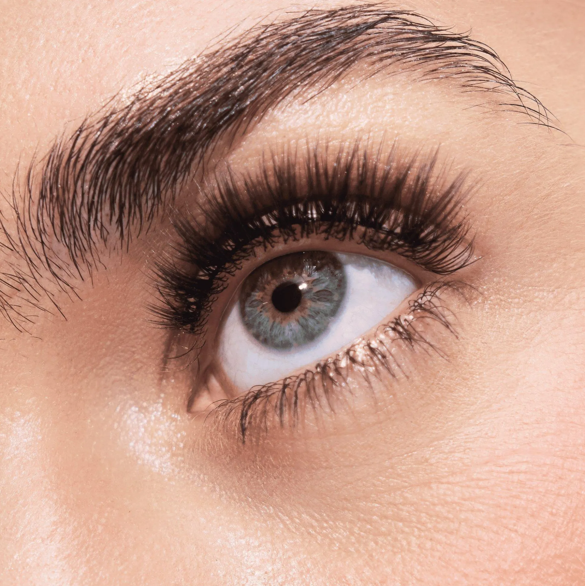 essence Falsche Wimpern>Disney Pixar Finding Dory False Lashes 020 - Whale Whispers