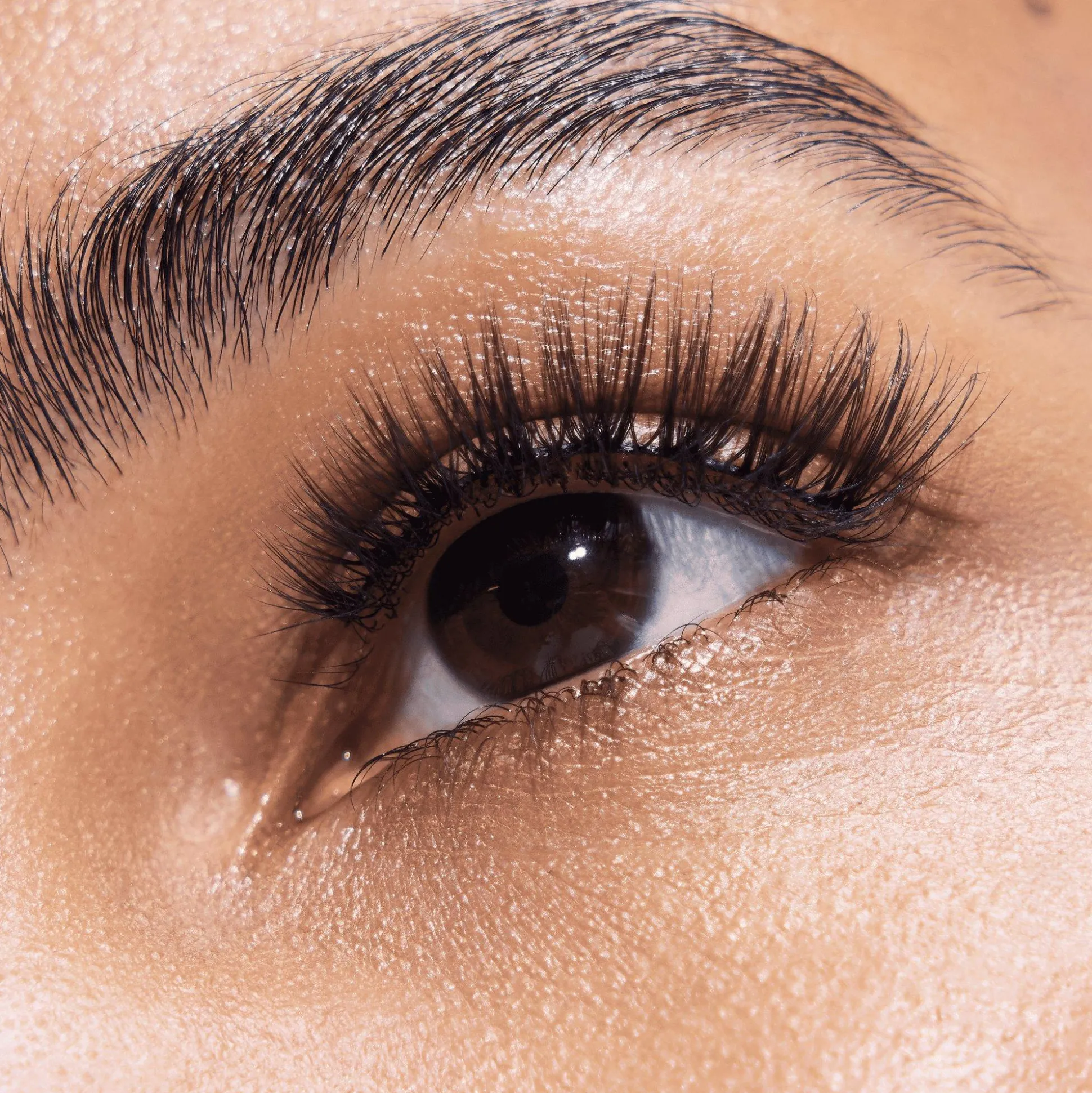 essence Falsche Wimpern>Disney Pixar Finding Dory False Lashes 020 - Whale Whispers