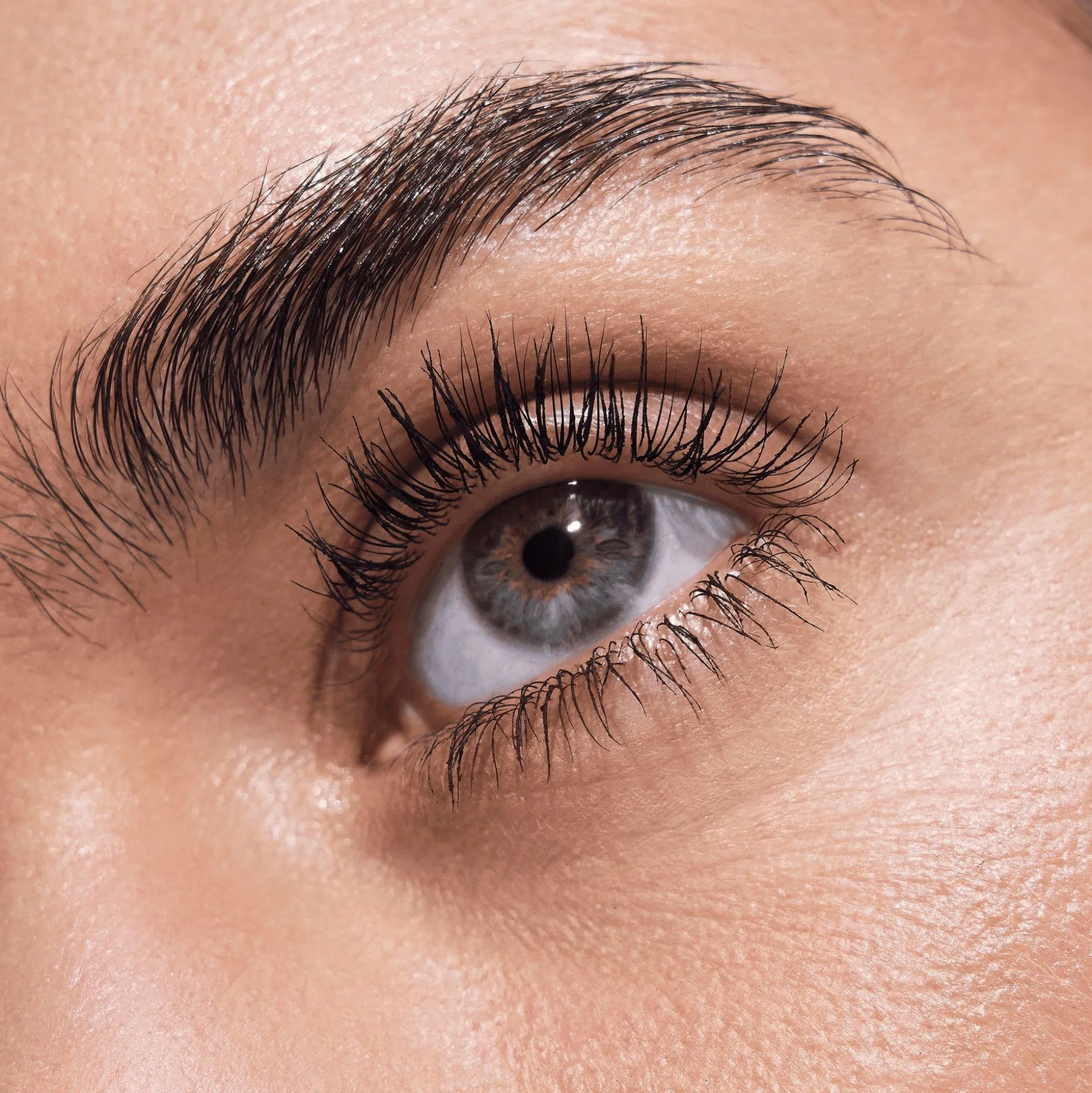 essence Mascara>Disney Pixar Finding Dory LIFT UP Volume & Lift Mascara Power Hold Waterproof