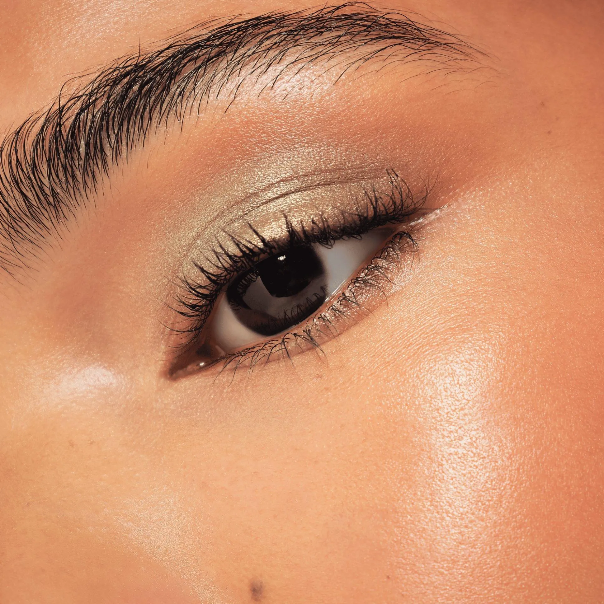 essence Lidschatten>Disney Pixar Up eyeshadow palette 02 - Wilderness explorer