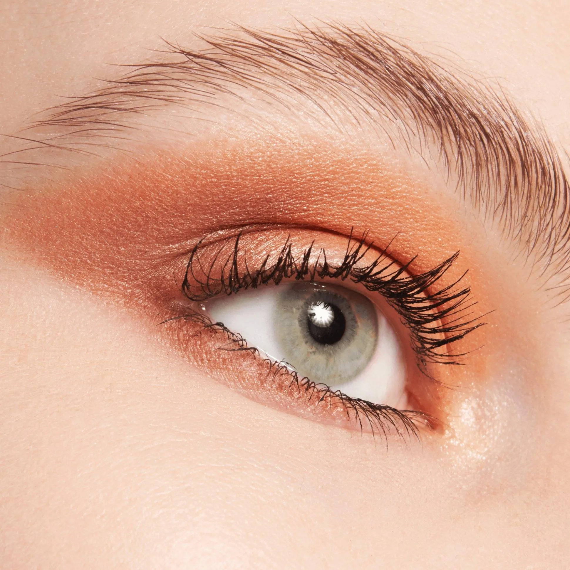 essence Lidschatten>the BROWN edition eyeshadow palette