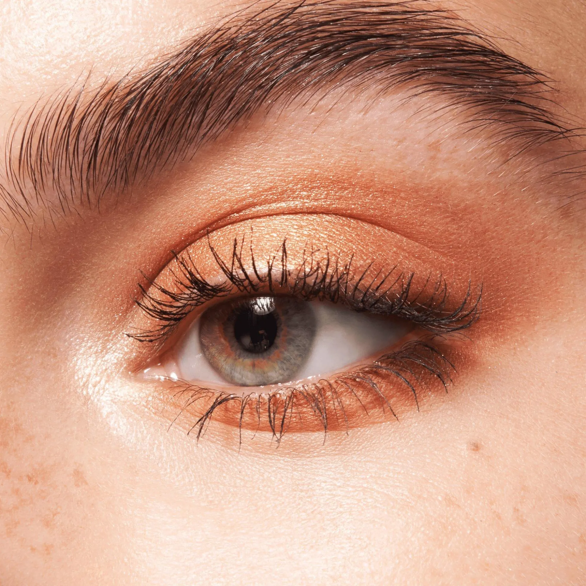 essence Lidschatten>the BROWN edition eyeshadow palette